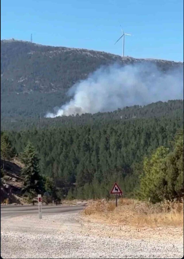 Menteşe Yılanlı dağında yangın ihbarı