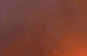 Yeşil vatan için alevlere siper oldu