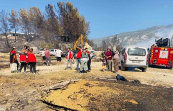 Seydikemer’de yangından etkilenen üreticiler yalnız bırakılmıyor