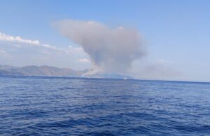 Marmaris’te orman yangını
