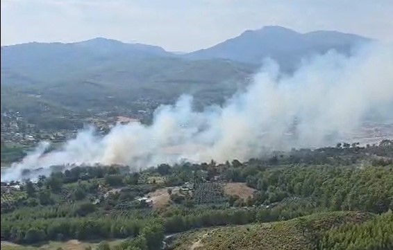 Seydikemer’de orman yangını
