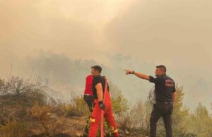 Muğla’daki her 10 yangından 7’si insan kaynaklı