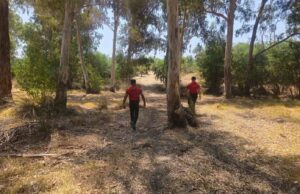 Seydikemer’de kayıp şahıs için arama çalışması başlatıldı