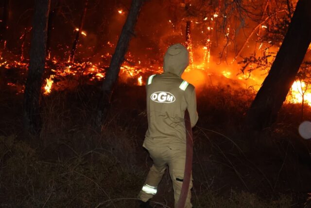 Fethiye’deki orman yangını kontrol altına alındı