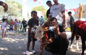 Muğla’da Buzağı Güzellik Yarışması düzenlendi