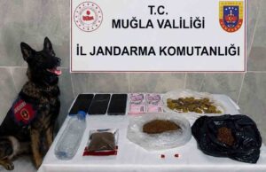 Jandarma KOM ekiplerinden Temmuz’da 24 operasyon