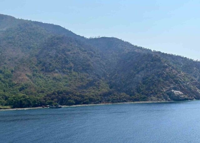 Marmaris’teki orman yangını kontrol altına alındı