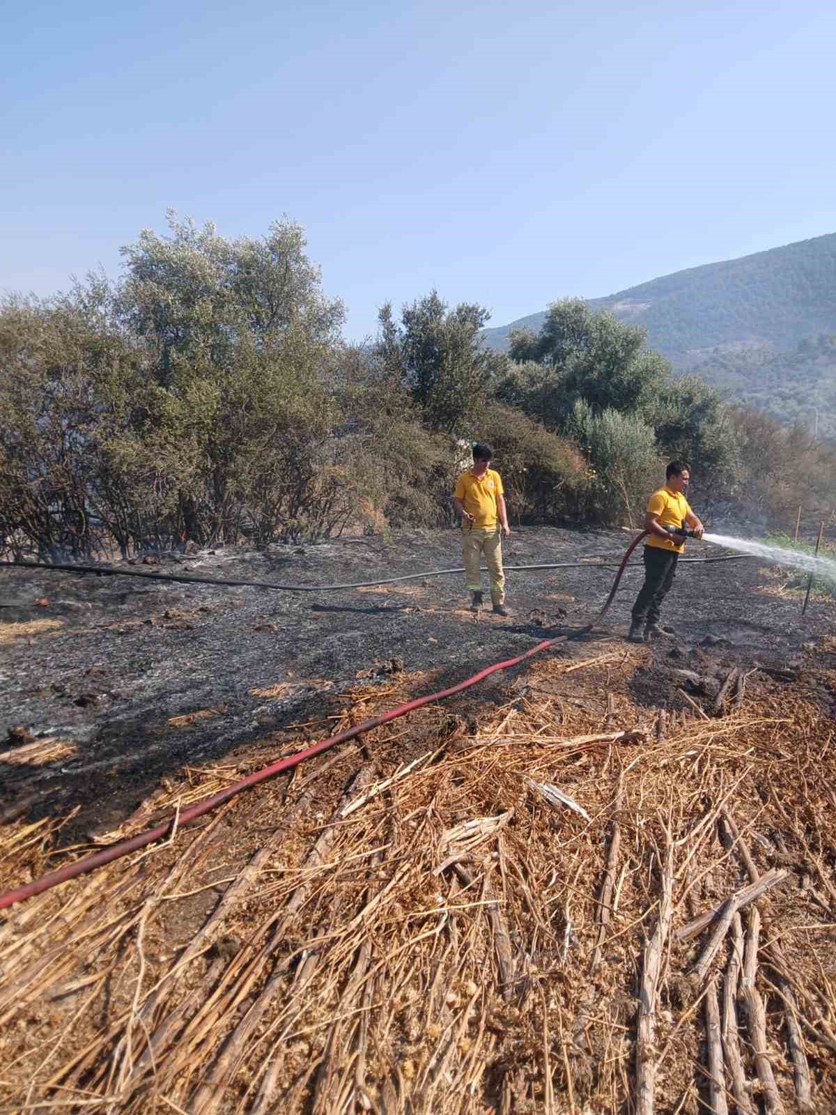Milas Bafa’da tarım arazisindeki yangın söndürüldü