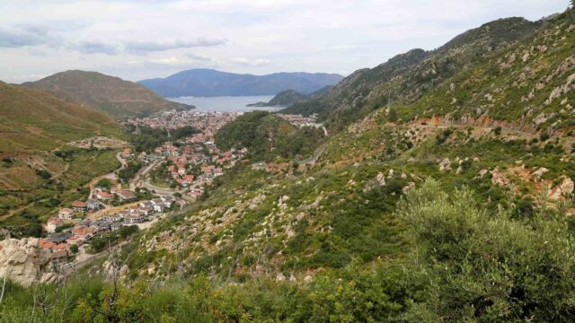 Kara tablo 5 yılda yeşile döndü