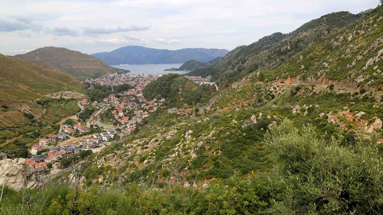 Kara tablo 5 yılda yeşile döndü