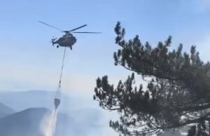 Fethiye’deki orman yangını kontrol altına alındı