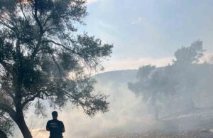 Bodrum-Milas karayolu üzerinde ot yangını