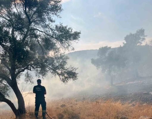 Bodrum-Milas karayolu üzerinde ot yangını