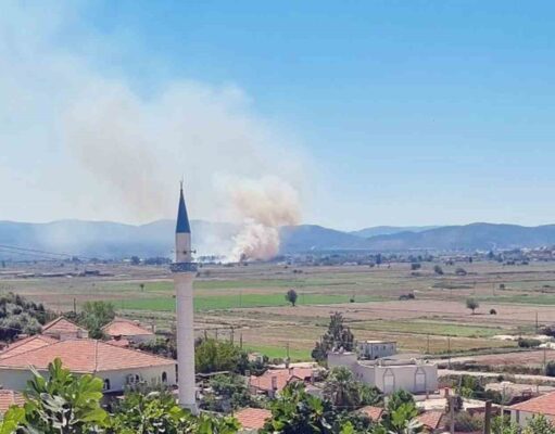 Milas Yaşyer’de ot ve sazlık yangını