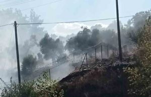 Milas-Söke karayolu üzerindeki yangın büyümeden söndürüldü