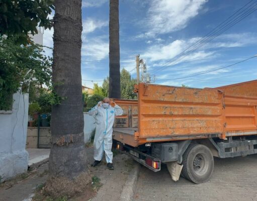 Marmaris’teki çöp evden bir kamyon çöp ve 30’a yakın kedi çıktı
