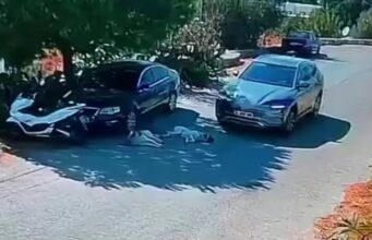Otomobiliyle köpeklerin üzerinden geçti
