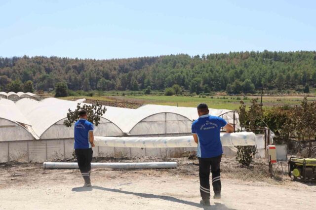 Seydikemer’de yangının yaraları bir günde sarılmaya başlandı