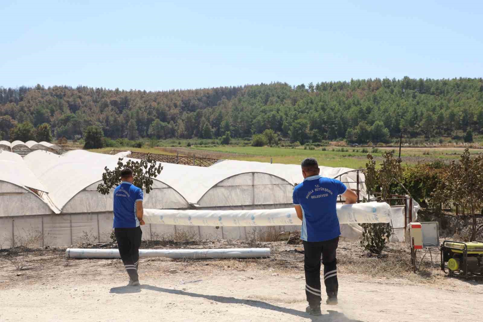 Seydikemer’de yangının yaraları bir günde sarılmaya başlandı
