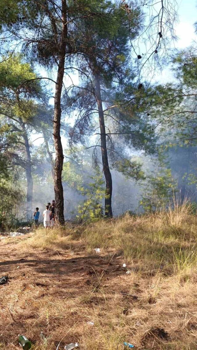 Köyceğiz’de orman yangınına erken müdahale