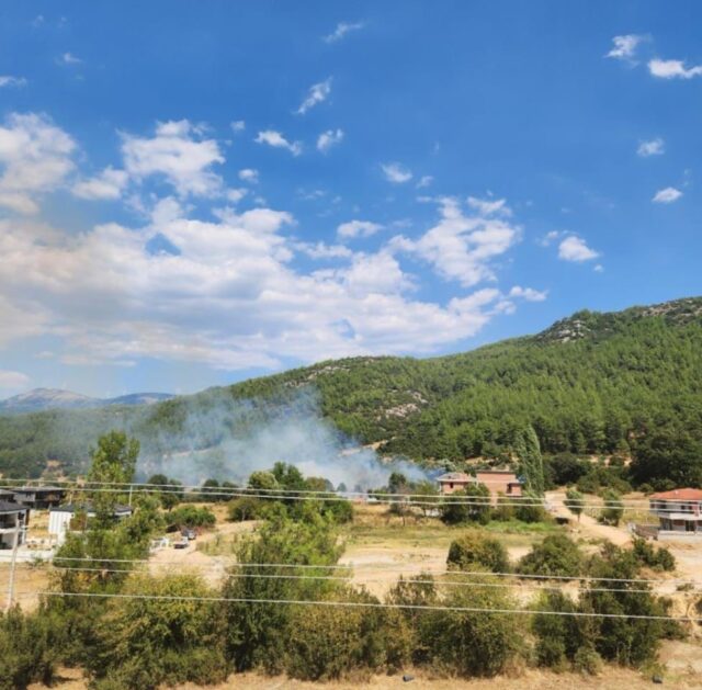 Menteşe’de otluk alanda yangın