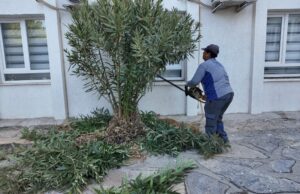 Bodrum Belediyesi’nden okullara bakım ve onarım desteği