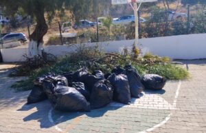 Bodrum’da ot temizliği çalışmaları sürüyor