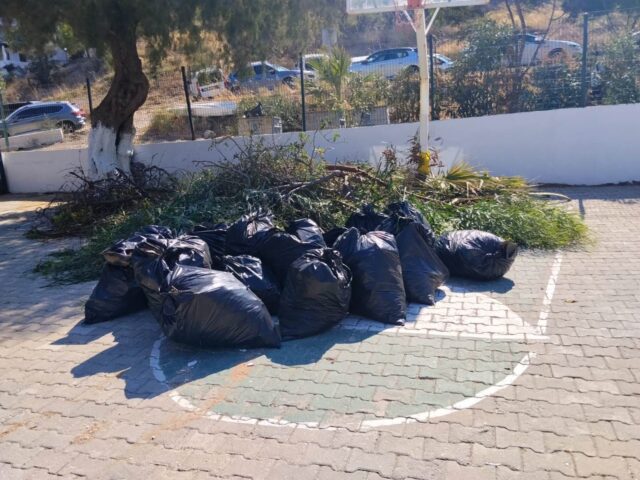Bodrum’da ot temizliği çalışmaları sürüyor