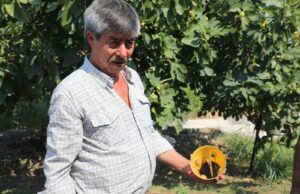 Muğla’da üreticinin emeğine çevre dostu koruma