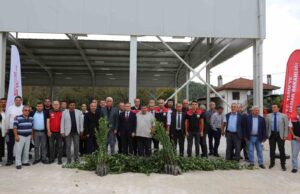 Muğla’da Defne ihracatından 75 milyon dolar bekleniyor