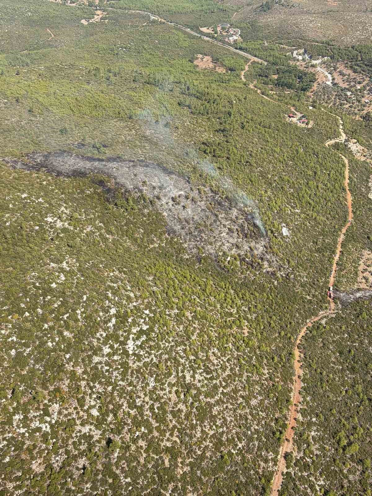Bodrum’daki orman yangını kontrol altına alındı