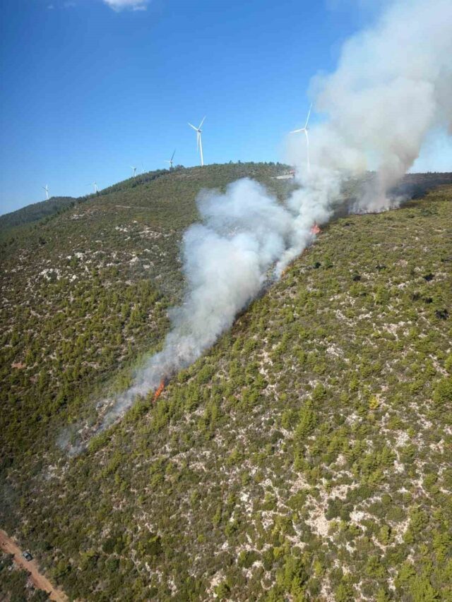 Bodrum’da orman yangını çıktı