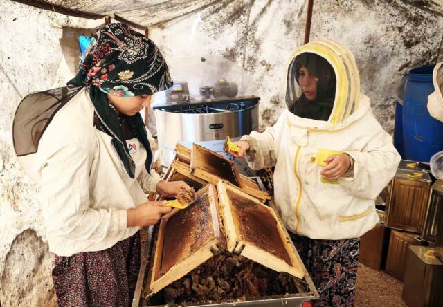 Çam balının başkenti Muğla’da glikozlu bal tepkisi