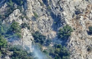 Muğla’da makilik alanda çıkan yangın kontrol altına alındı